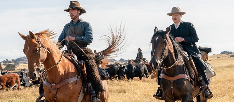 Premier aperçu de ce qui arrive sur Netflix en décembre 2021 10 le pouvoir du chien décembre netflix