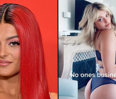 Bebe Rexha danse en lingerie pour "normaliser 165 livres" dans TikTok viral 12 Bebe Rexha danse en lingerie pour "normaliser 165 livres" dans TikTok viral - 11