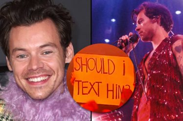 Harry Styles interrompt le concert pour donner des conseils de rencontres aux fans dans la foule - 11