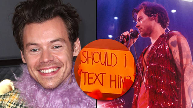 Harry Styles interrompt le concert pour donner des conseils de rencontres aux fans dans la foule 2 Harry Styles interrompt le concert pour donner des conseils de rencontres aux fans dans la foule - 1