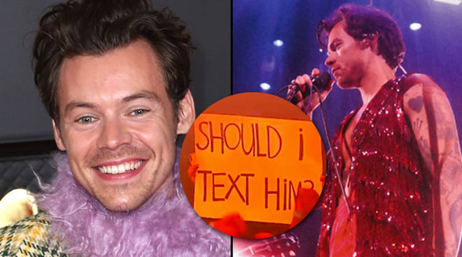 Harry Styles interrompt le concert pour donner des conseils de rencontres aux fans dans la foule 3 Harry Styles donne des conseils de rencontres à un fan au concert de Saint Paul