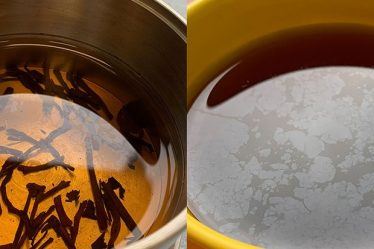 Posez le filtre : le thé fait avec de l'eau impure a meilleur goût - 5