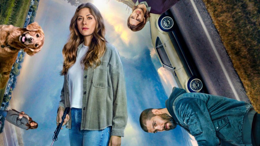 Quand la saison 3 de « In the Dark » sera-t-elle sur Netflix ? 2 Quand la saison 3 de « In the Dark » sera-t-elle sur Netflix ? - 1
