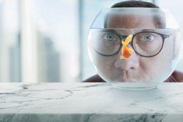 « Real Rob » de retour pour la saison 3 en 2023, sera-t-il sur Netflix ? - 9