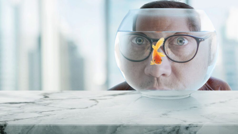 « Real Rob » de retour pour la saison 3 en 2023, sera-t-il sur Netflix ? 2 « Real Rob » de retour pour la saison 3 en 2023, sera-t-il sur Netflix ? - 1