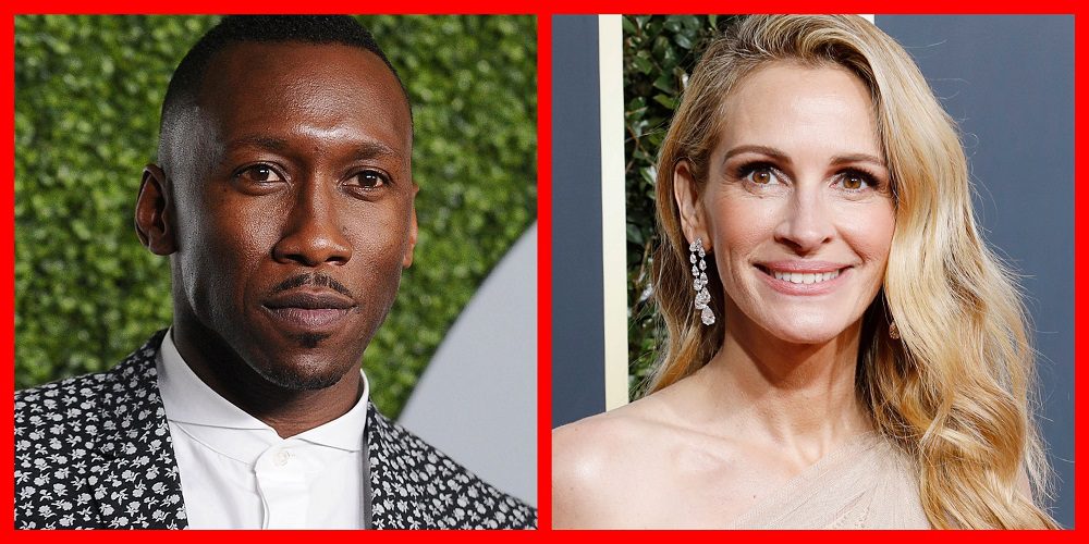 Film Netflix "Laissez le monde derrière" Julia Roberts: ce que nous savons jusqu'à présent 5 quitter le casting