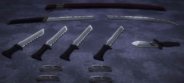 Armes de Tache