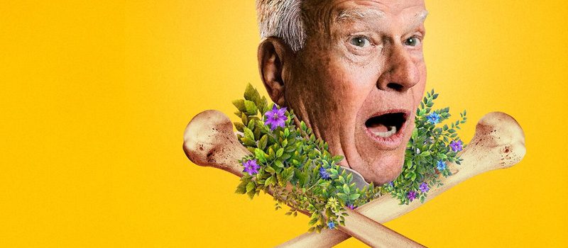 Chaque film original Netflix sorti dans la collection Criterion 18 dick johnson est mort netflix