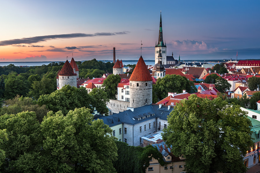 7 raisons pour lesquelles vous devriez visiter l'Estonie 4 Vue aérienne de la vieille ville de Tallinn depuis la colline de Toompea le soir par Andrey Omelyanchuk sur 500px.com