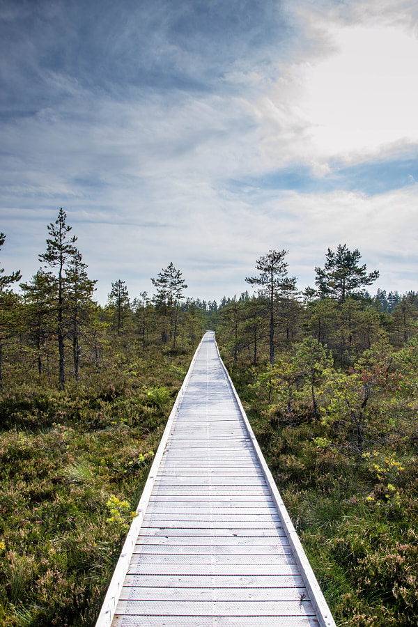 7 raisons pour lesquelles vous devriez visiter l'Estonie 5 tout droit par Julka Świderska sur 500px.com