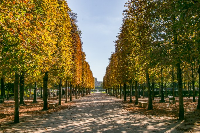 Paris à l'automne + Inside My Adorable $65/night Parisian Airbnb • The Overseas Escape 7 l'escapade-outremer-paris-automne-2016-10