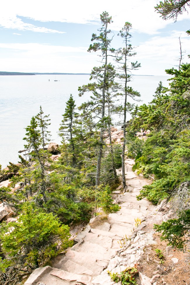 Vélo, la ruche et le phare de Bass Harbour • L'évasion à l'étranger 10 sacs-à-dos-com-acadia-national-park-maine-14