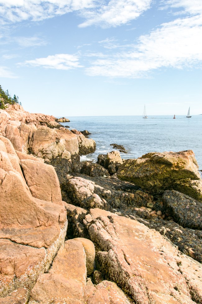 Vélo, la ruche et le phare de Bass Harbour • L'évasion à l'étranger 12 sacs-à-dos-com-acadia-national-park-maine-16