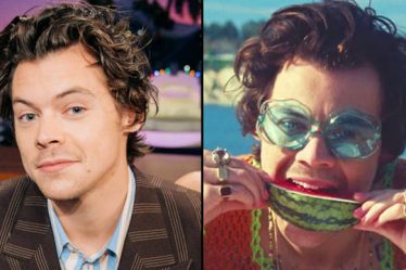 Harry Styles confirme que la signification de Watermelon Sugar concerne l'orgasme féminin - 19