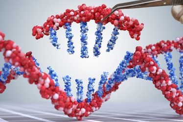 Modification de l'ADN : devons-nous modifier le monde naturel ? - 5