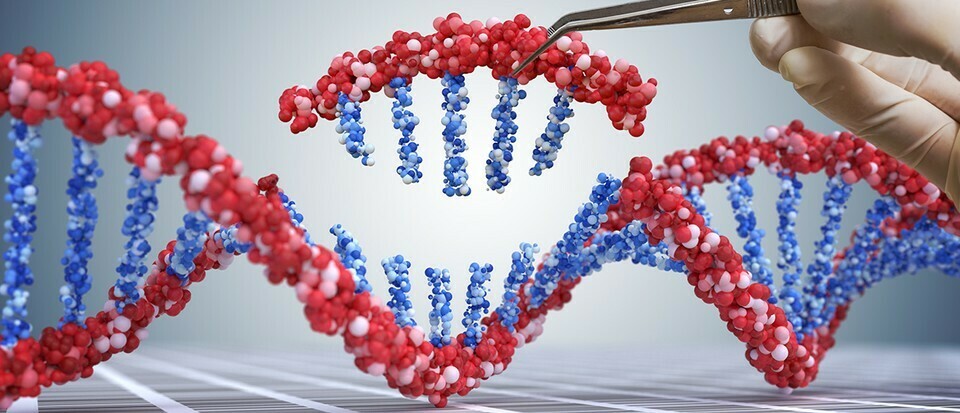 Modification de l'ADN : devons-nous modifier le monde naturel ? 2 Modification de l'ADN : devons-nous modifier le monde naturel ? - 1