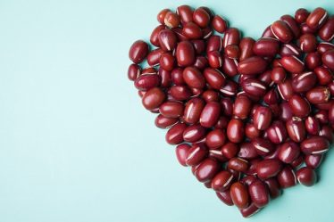 Pourrions-nous transformer des plantes vénéneuses en cultures comestibles ? - 6