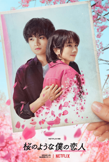 Le drame romantique japonais "My Dearest, Like a Cherry Blossom" arrive sur Netflix au printemps 2022 4 mon plus cher comme une fleur de cerisier drame romantique japonais affiche netflix