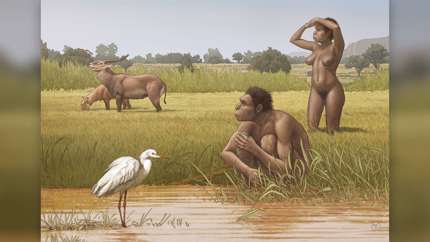 L'espèce humaine nouvellement nommée est l'ancêtre direct de l'homme moderne › Geeky News 3 dessin homo bodoensis