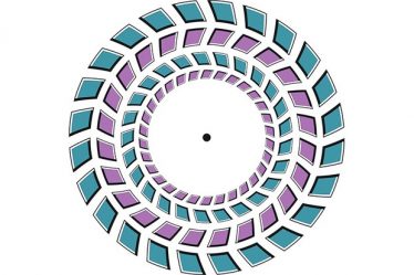 Pourquoi l'illusion d'optique Pinna perturbe votre cerveau - 7