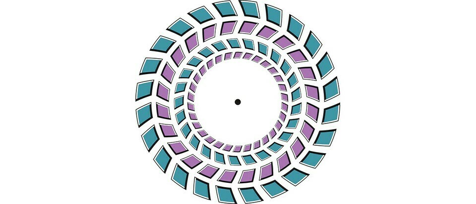 Pourquoi l'illusion d'optique Pinna perturbe votre cerveau 2 Pourquoi l'illusion d'optique Pinna perturbe votre cerveau - 1