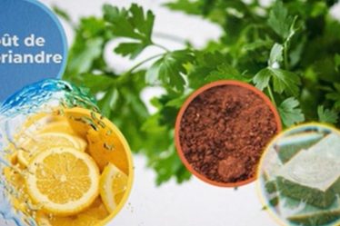 Pourquoi n'aimons-nous pas certains aliments? – Sciences et avenir › Geeky News - 3