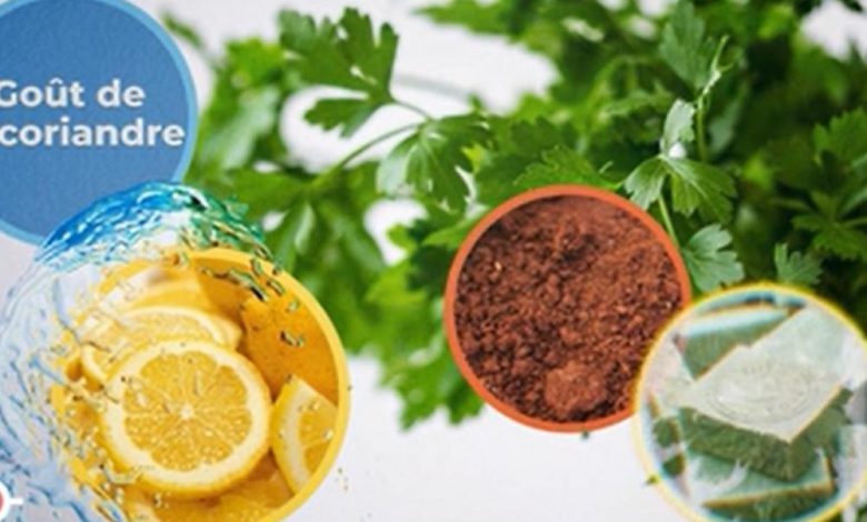 Pourquoi n'aimons-nous pas certains aliments? – Sciences et avenir › Geeky News 2 Pourquoi n'aimons-nous pas certains aliments? – Sciences et avenir › Geeky News - 1