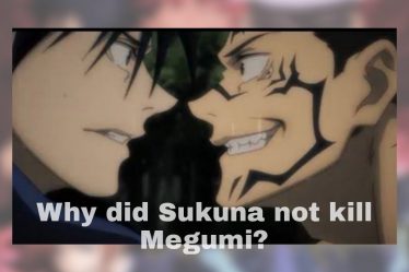 Pourquoi Sukuna n'a-t-il pas tué Megumi : théories et prédictions - 21