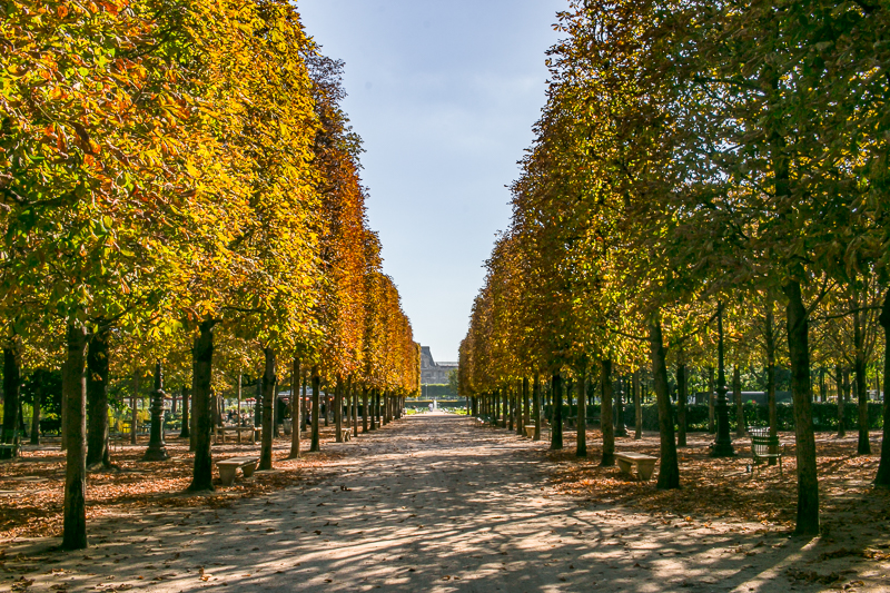 Paris à l'automne + Inside My Adorable $65/night Parisian Airbnb • The Overseas Escape - 1