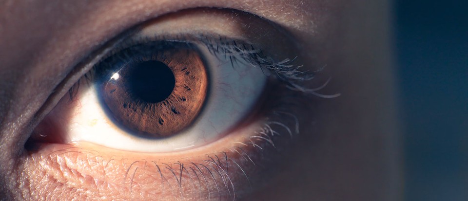 Combien de sens as-tu ? Beaucoup plus que 5, dit la science 2 Combien de sens as-tu ? Beaucoup plus que 5, dit la science - 1