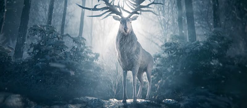 'Shadow and Bone' Saison 2: Date de sortie de Netflix et ce que nous savons jusqu'à présent 3 ombre et os netflix original avril 2021