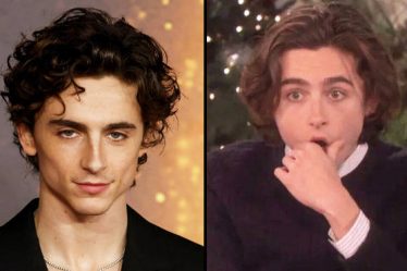 Timothée Chalamet est-il britannique ? Les mèmes et les réactions les plus drôles à sa nationalité - 7