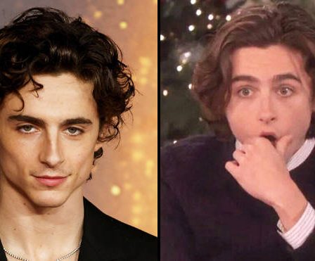 Timothée Chalamet est-il britannique ? Les mèmes et les réactions les plus drôles à sa nationalité 72 Timothée Chalamet est-il britannique ? Les mèmes et les réactions les plus drôles à sa nationalité - 71