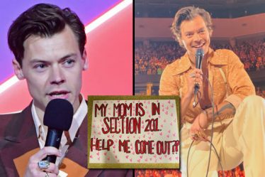 Harry Styles aide un fan gay à sortir avec sa mère lors de son concert Love On Tour - 15