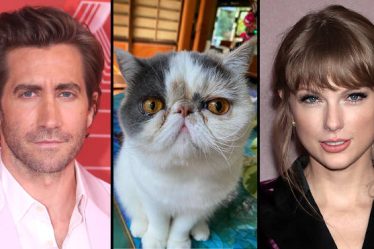 Le « chat » de Jake Gyllenhaal fustige les cyberintimidateurs à la suite des mèmes sauvages de Taylor Swift - 15