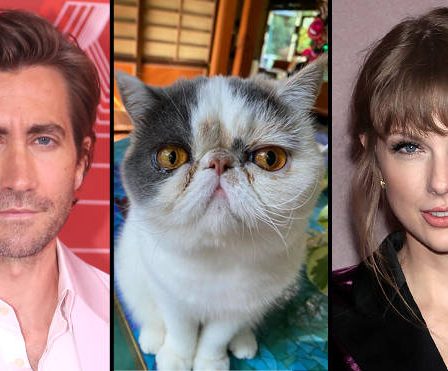 Le « chat » de Jake Gyllenhaal fustige les cyberintimidateurs à la suite des mèmes sauvages de Taylor Swift - 149