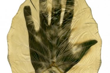 A Paris Photo le Pigment Change lie photographie et plantes – sciences et Avenir › Geeky News - 3