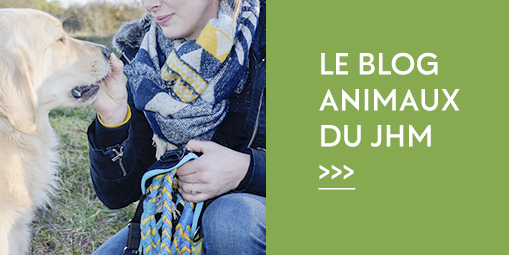 Avec le Dr Melin, le tabac sans tabous › Geeky News 4 Avec le Dr Melin, le tabac sans tabous › Geeky News - 3