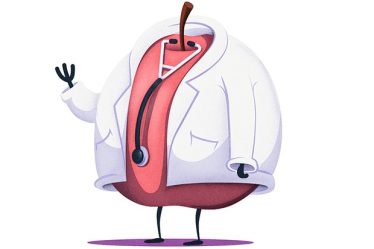 Une pomme par jour éloigne-t-elle le médecin ? - 3