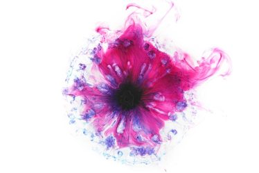 Le rose est-il une vraie couleur ? - 7