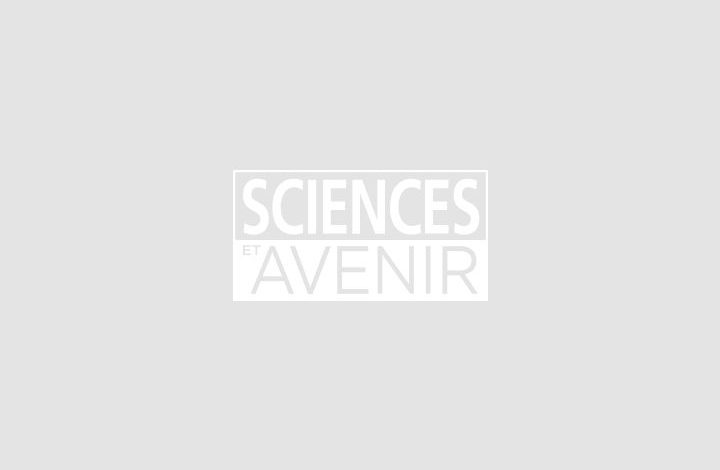 Retour sur Terre des astronautes, dont Thomas Pesquet reporté – sciences et Avenir › Geeky News 2 Retour sur Terre des astronautes, dont Thomas Pesquet reporté – sciences et Avenir › Geeky News - 1