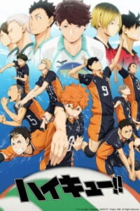 Top 15 des meilleurs animes sportifs sur Netflix 2022 14 Haikyuu !!