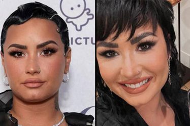 Demi Lovato dit qu'ils ne sont plus sobres en Californie après le contrecoup - 13