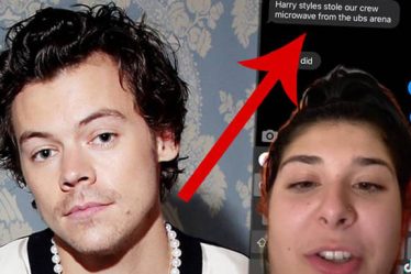 Non, Harry Styles n'a pas volé de micro-ondes en tournée - 7