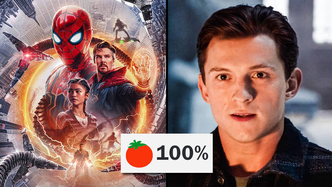 Spider-Man: No Way Home a une note de 100% Rotten Tomatoes 2 Spider-Man: No Way Home a une note de 100% Rotten Tomatoes - 1
