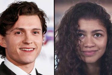 Tom Holland dit qu'il est "déçu", il n'a pas encore été choisi dans Euphoria - 7