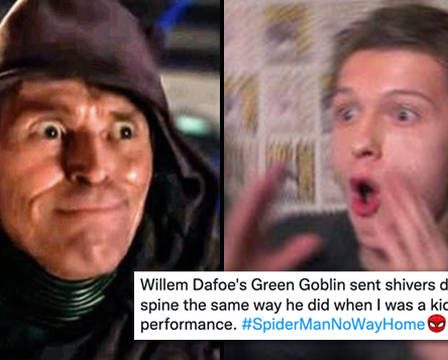 Spider-Man: No Way Home: les fans louent la performance de Green Goblin de Willem Dafoe - 24