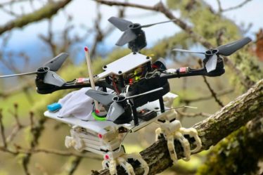 Ce drone s'accroche aux arbres comme un oiseau – sciences et Avenir › Geeky News - 23