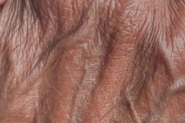 Pourquoi nos veines sont-elles bleues ? - 8