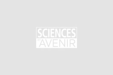 La variante Omicron est désormais majoritaire en France – Sciences et Avenir › Geeky News - 5
